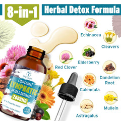 Tervaies Liposomal Lymphatic Drops dandelion root detail natural wellness routine