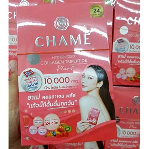 TH Chame collagen powder texture ready to blend into drinks for skin benefits