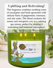 T&H Eucalyptus Spearmint jar with lid offers a clean, gift-ready presentation.