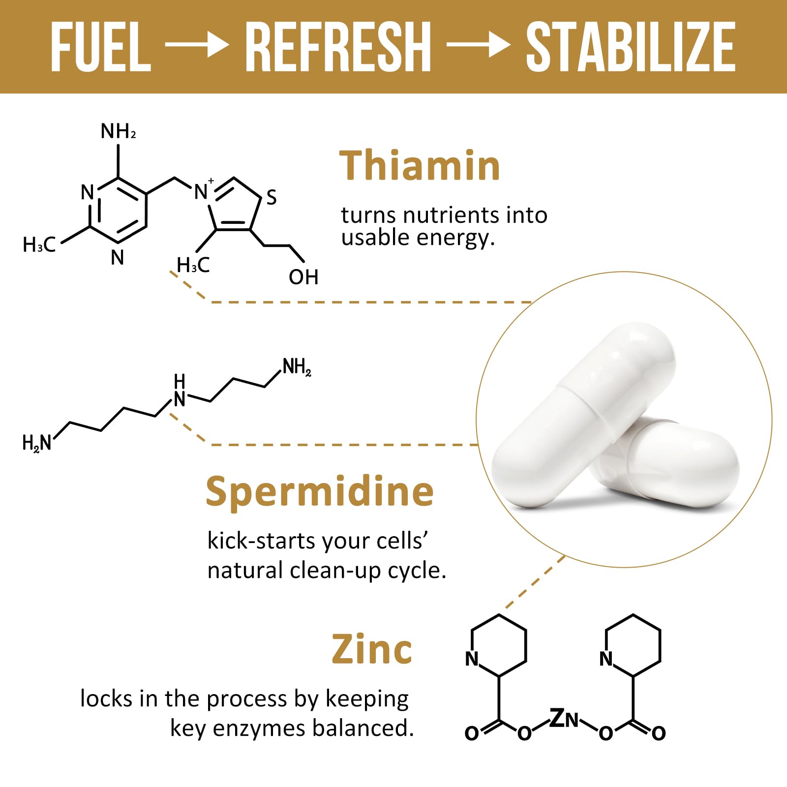 Thalacy vegan ingredients symbol signals plant-based formula.