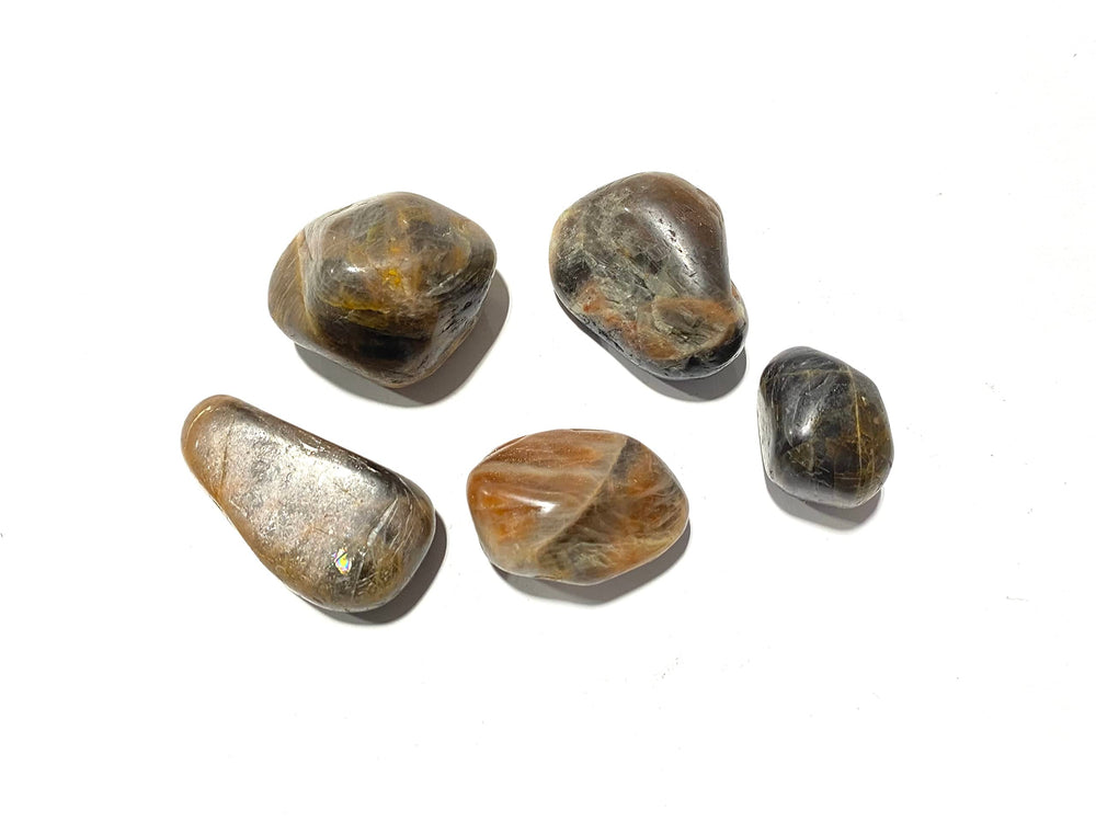 The Chrysalis Stone Black Moonstone tumbled stone pairs with Rainbow Moonstone for enhanced energy.