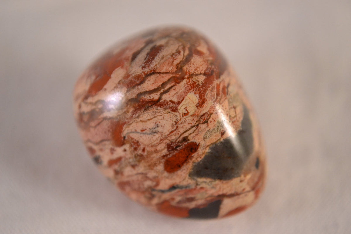 The Chrysalis Stone Brecciated Jasper tumbled stone showing orange-red bands for grounding.