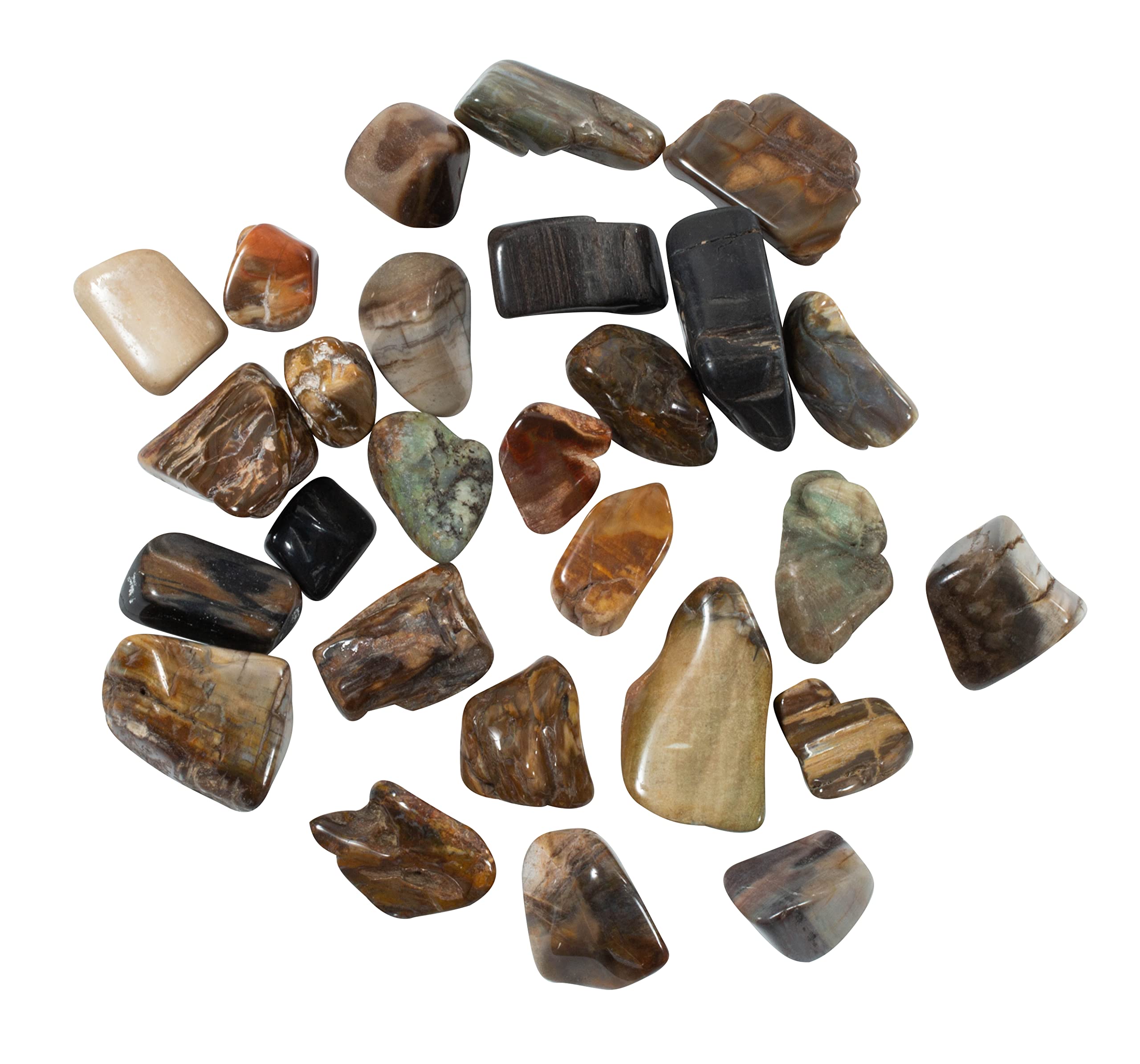 The Chrysalis Stone half-pound petrified wood tumbled stones for grounding and focus.