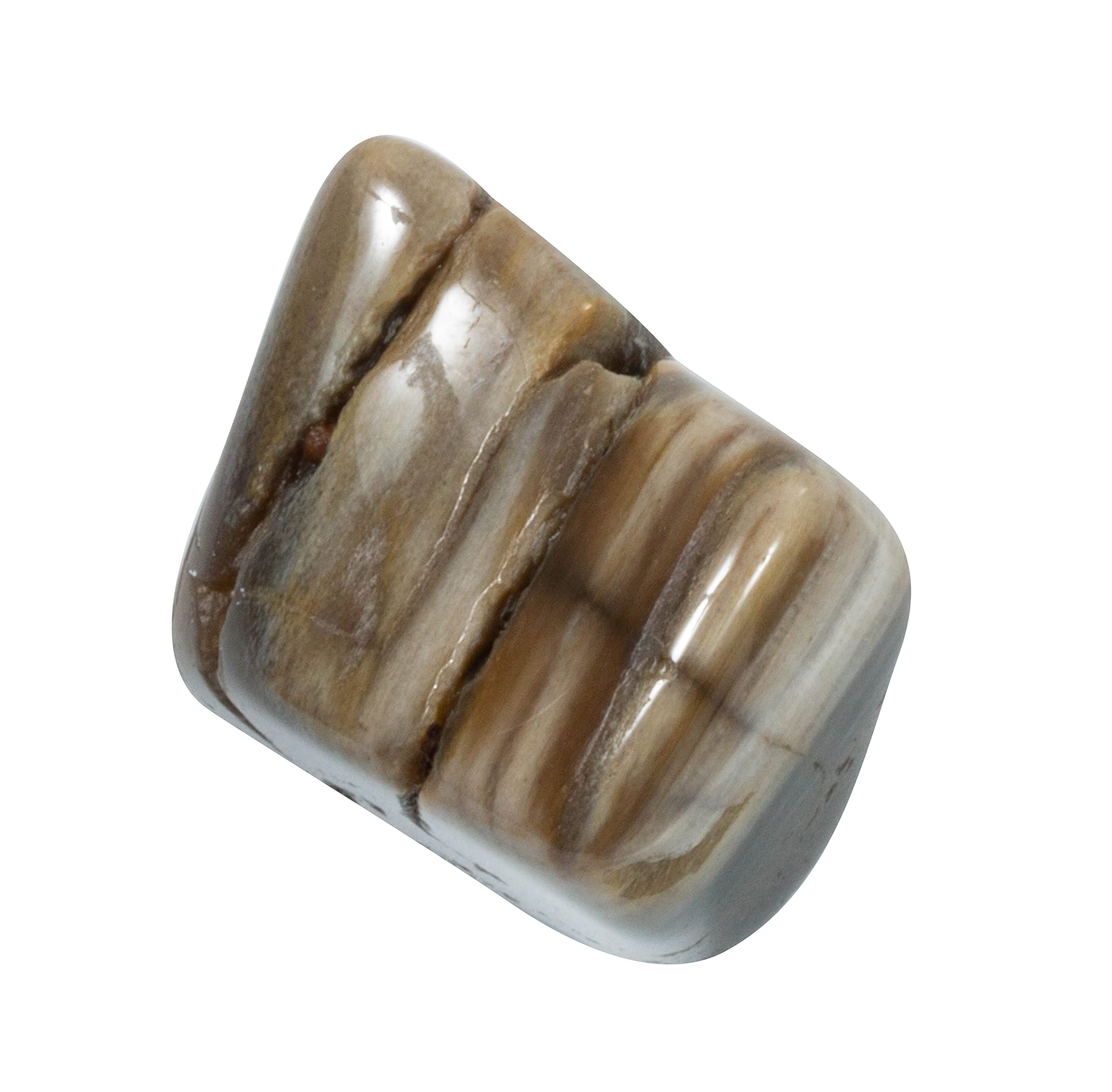The Chrysalis Stone natural tumbled petrified wood stones with unique textures.