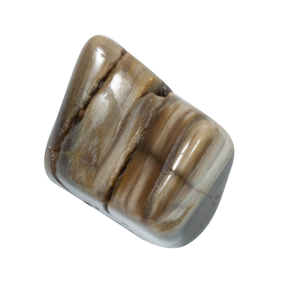 The Chrysalis Stone natural tumbled petrified wood stones with unique textures.