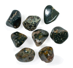 The Chrysalis Stone orbicular jasper tumbled stones with calming orb patterns for meditation