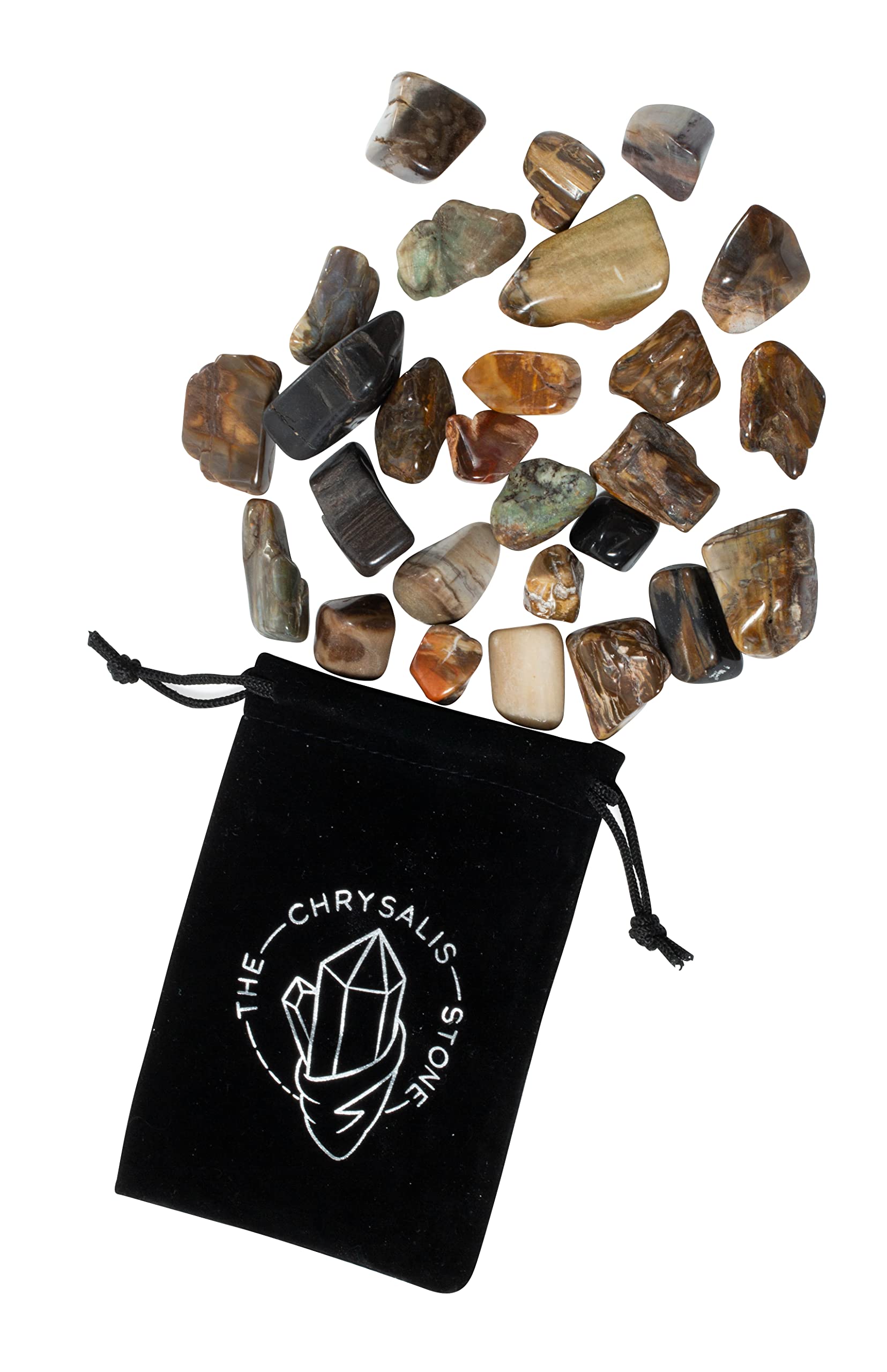The Chrysalis Stone petrified wood color tones for meditation and mood balance.
