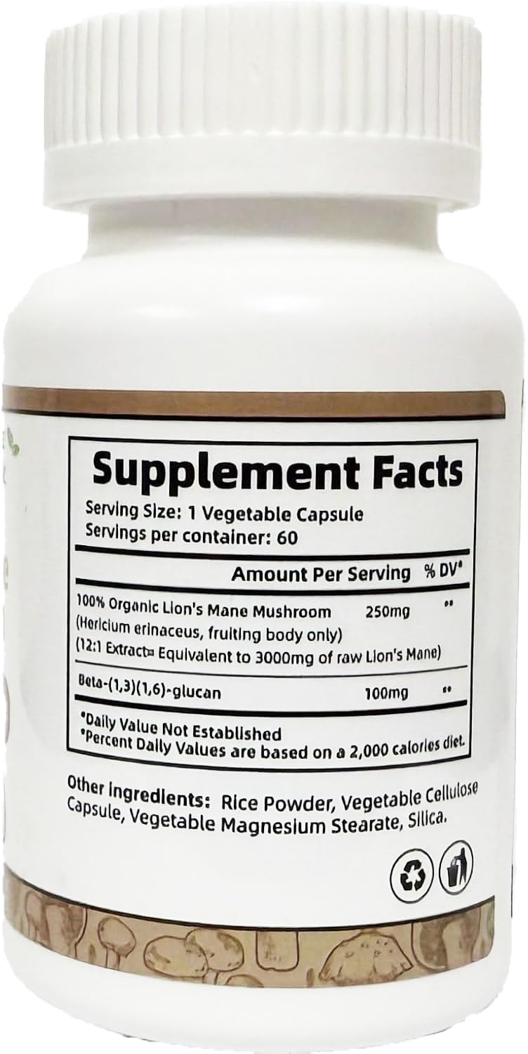 The Fit Beetle Lions Mane empty capsule illustrates easy daily dosing and customization.