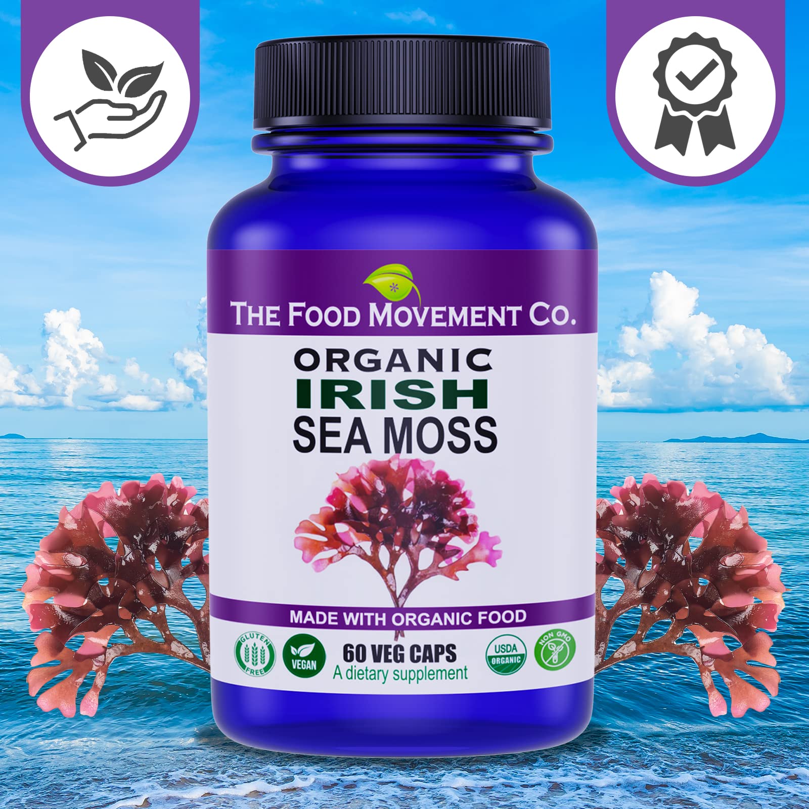 The Food Movement Co Irish Sea Moss educational card with usage guidance.