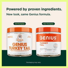 Capsules close-up highlighting plant-based turkey tail mushrooms for gut wellness