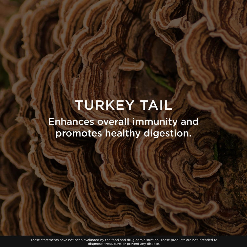 Ingredients infographic highlights full-spectrum turkey tail mushroom benefits