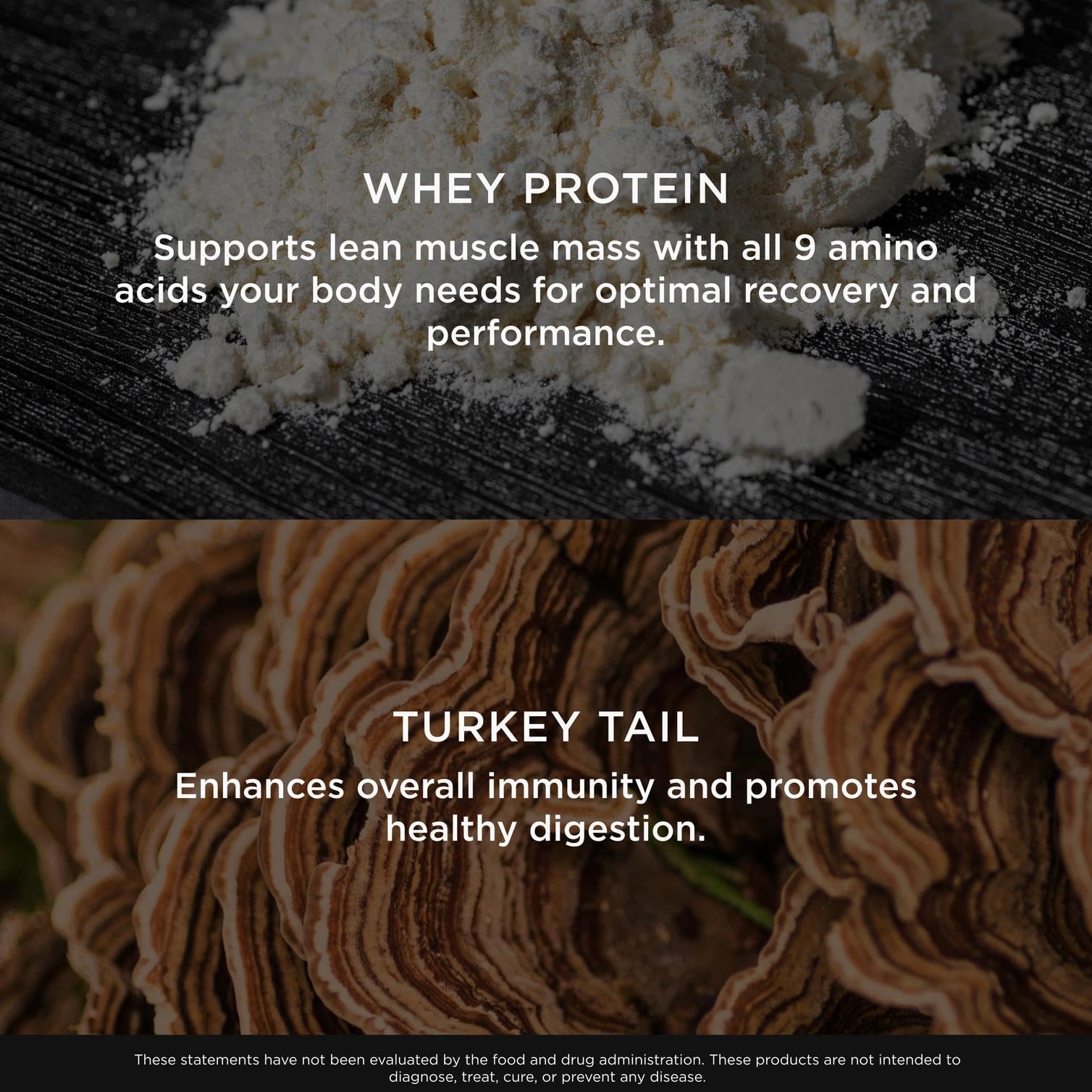 Organic Turkey Tail mushroom powder from The Genius Brand for immune and gut support