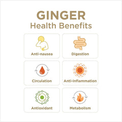 The Ginger People Ginger Rescue mango chewables illustrated as kid-friendly for daily routines.