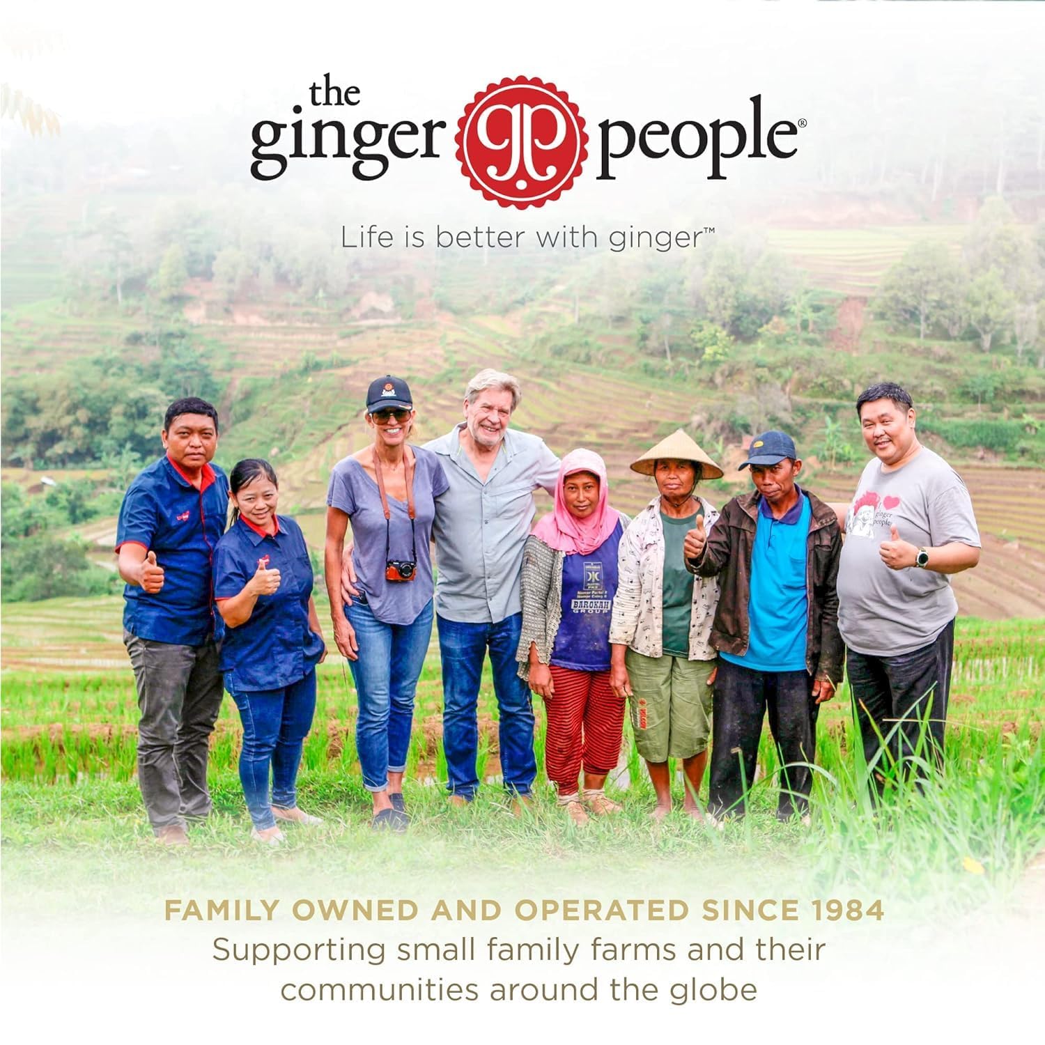 The Ginger People Ginger Soother Elderberry Gingerade cold serve with sparkling water.