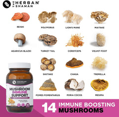 The Herban Shaman PSK polysaccharides support modulated immune responses.