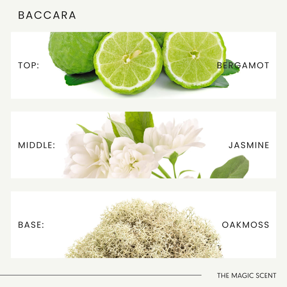 The Magic Scent Baccara luxury-hotel aroma enhances ambience
