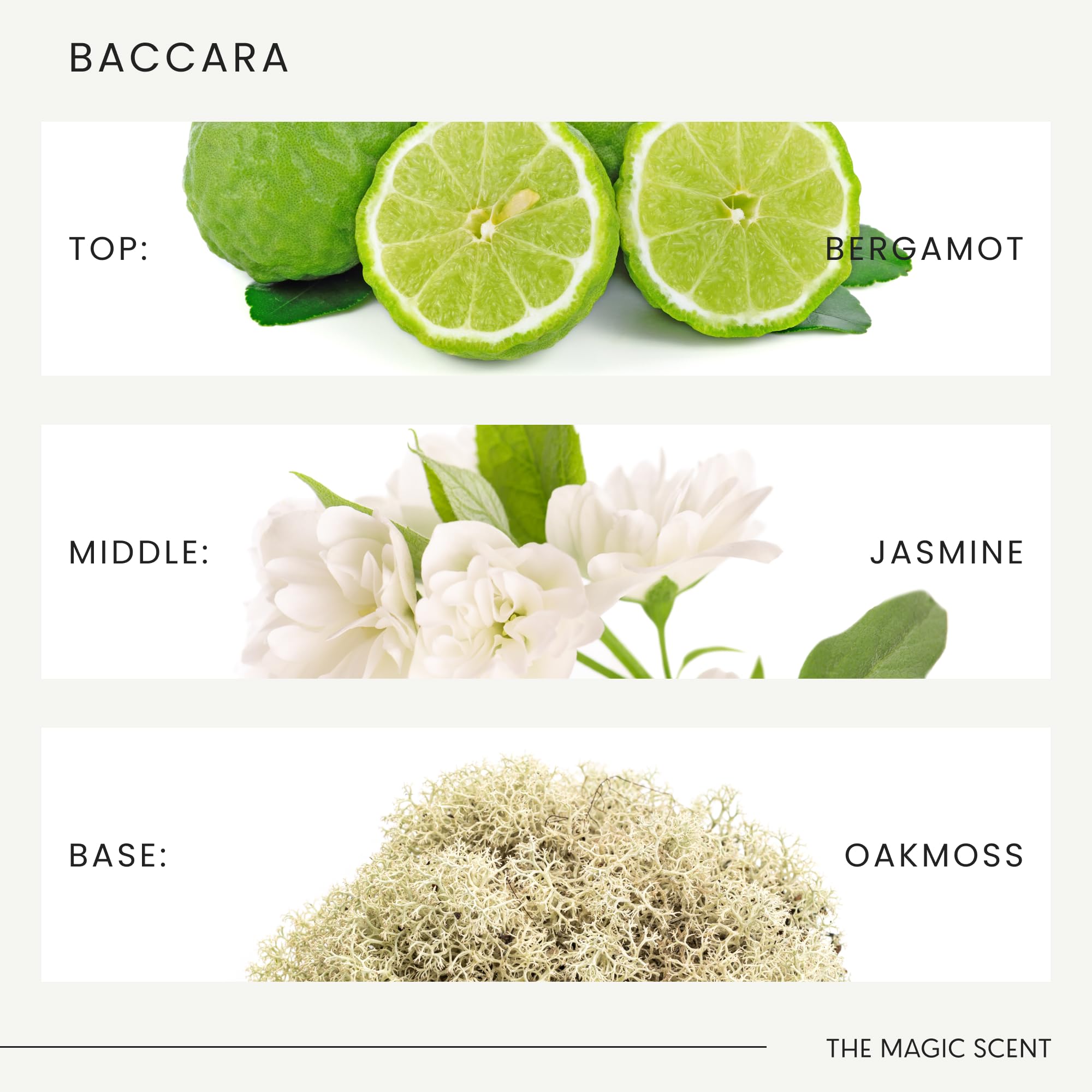 Magic Scent Baccara vanilla and amber add warmth and richness.