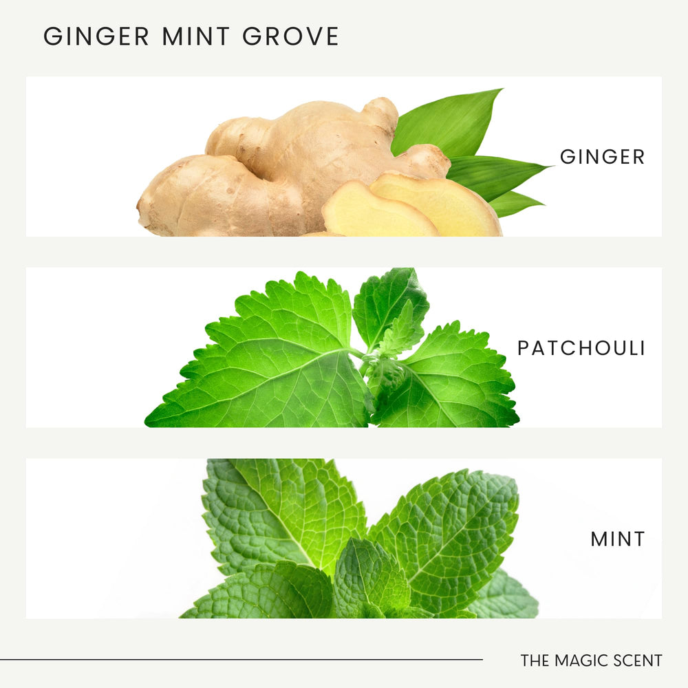 The Magic Scent Ginger Mint Grove packaging highlights luxury and sustainability.