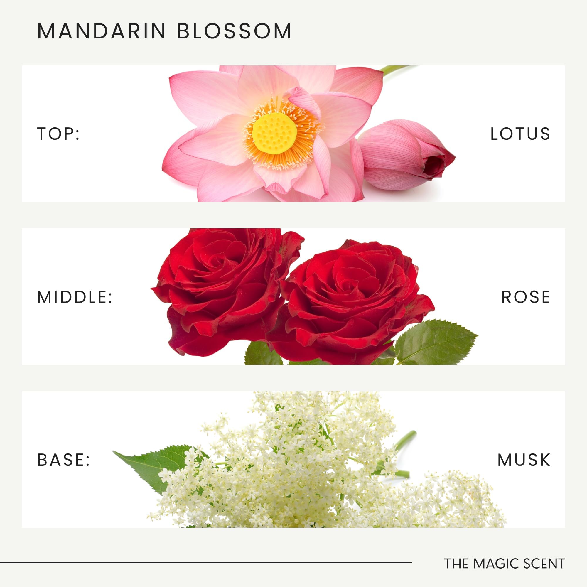 The Magic Scent Mandarin Blossom packaging, signaling luxury hotel-grade fragrance at home