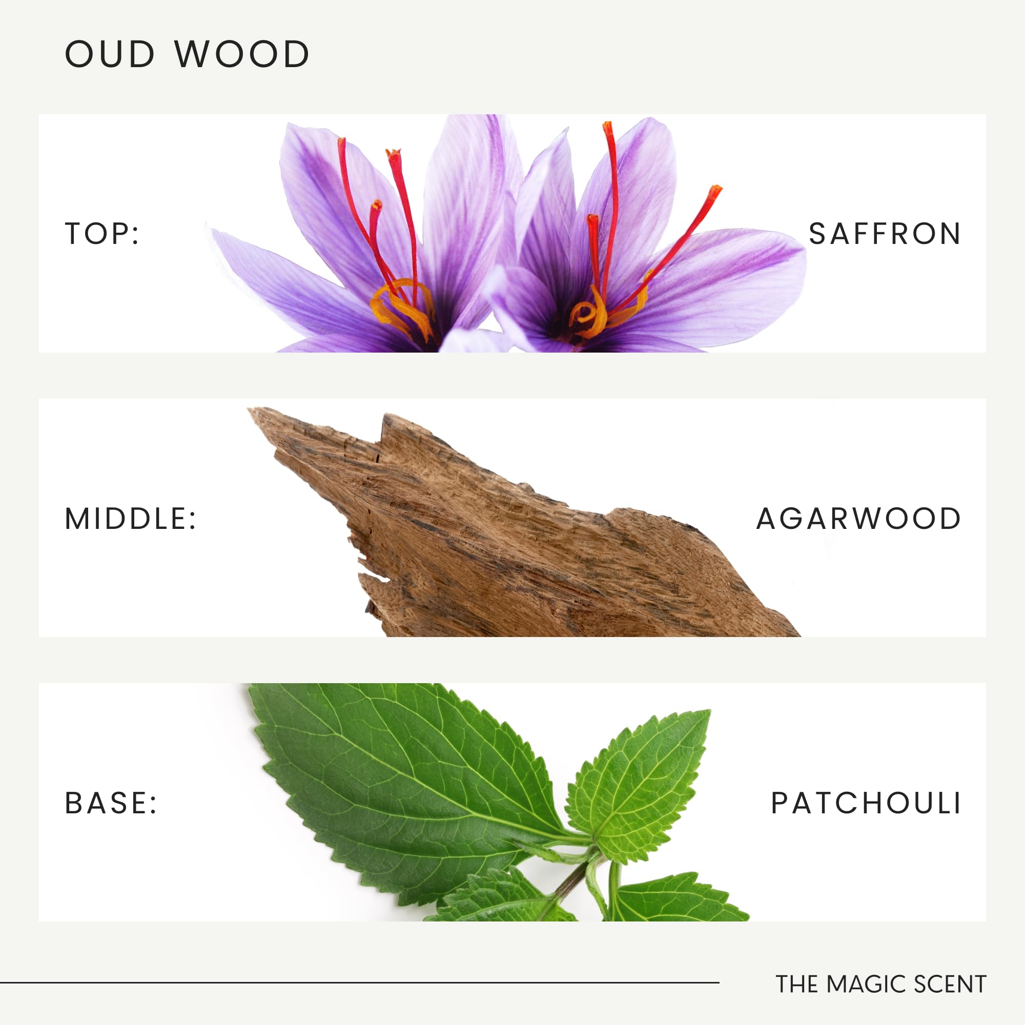 Oud Wood aroma filling a living room ambiance