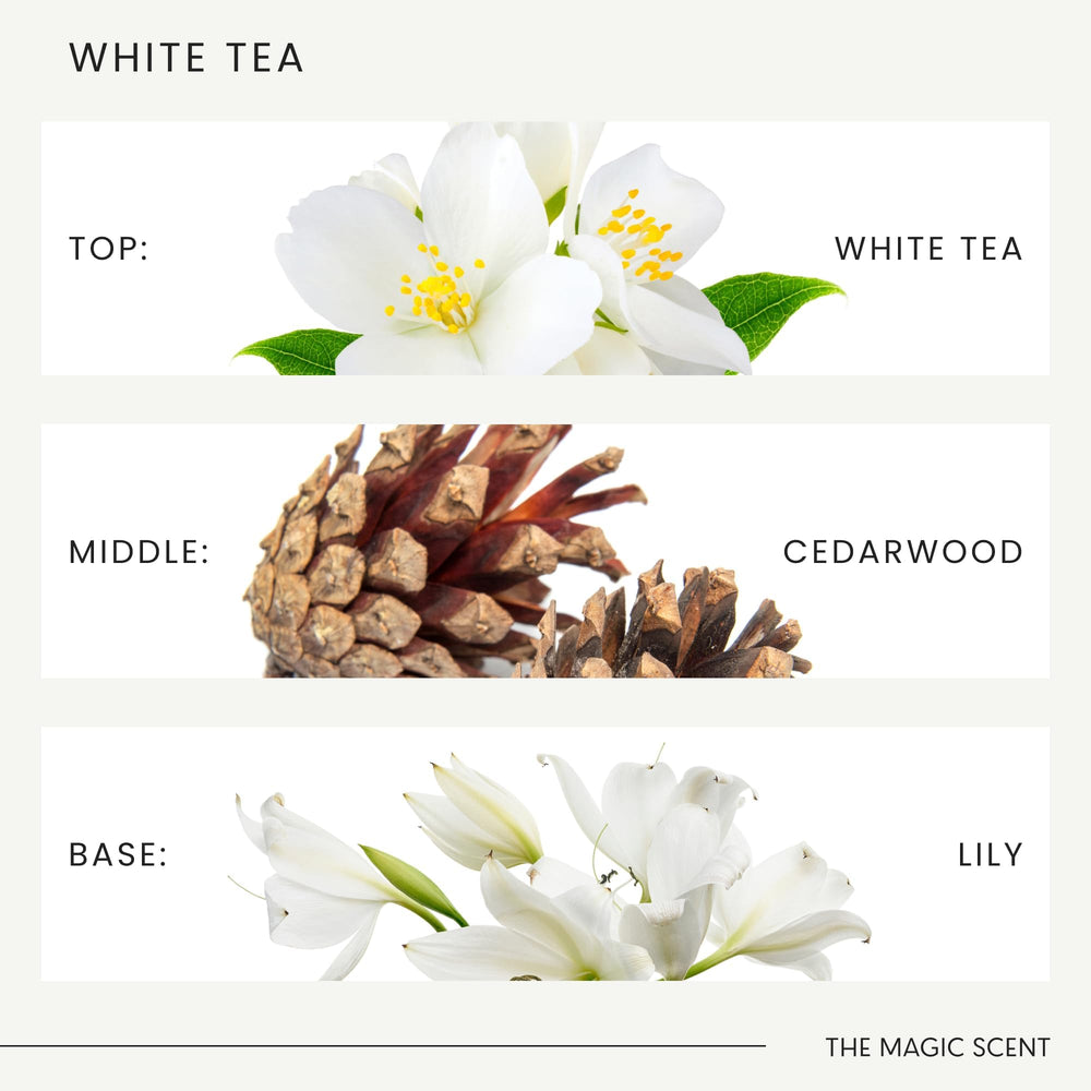 Cedarwood vanilla note from The Magic Scent White Tea adds depth.