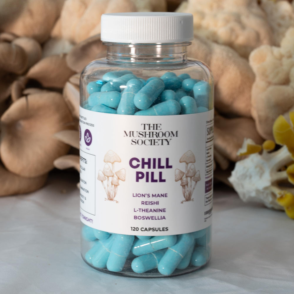 The Mushroom Society Chill Pill in use for unwinding after work.