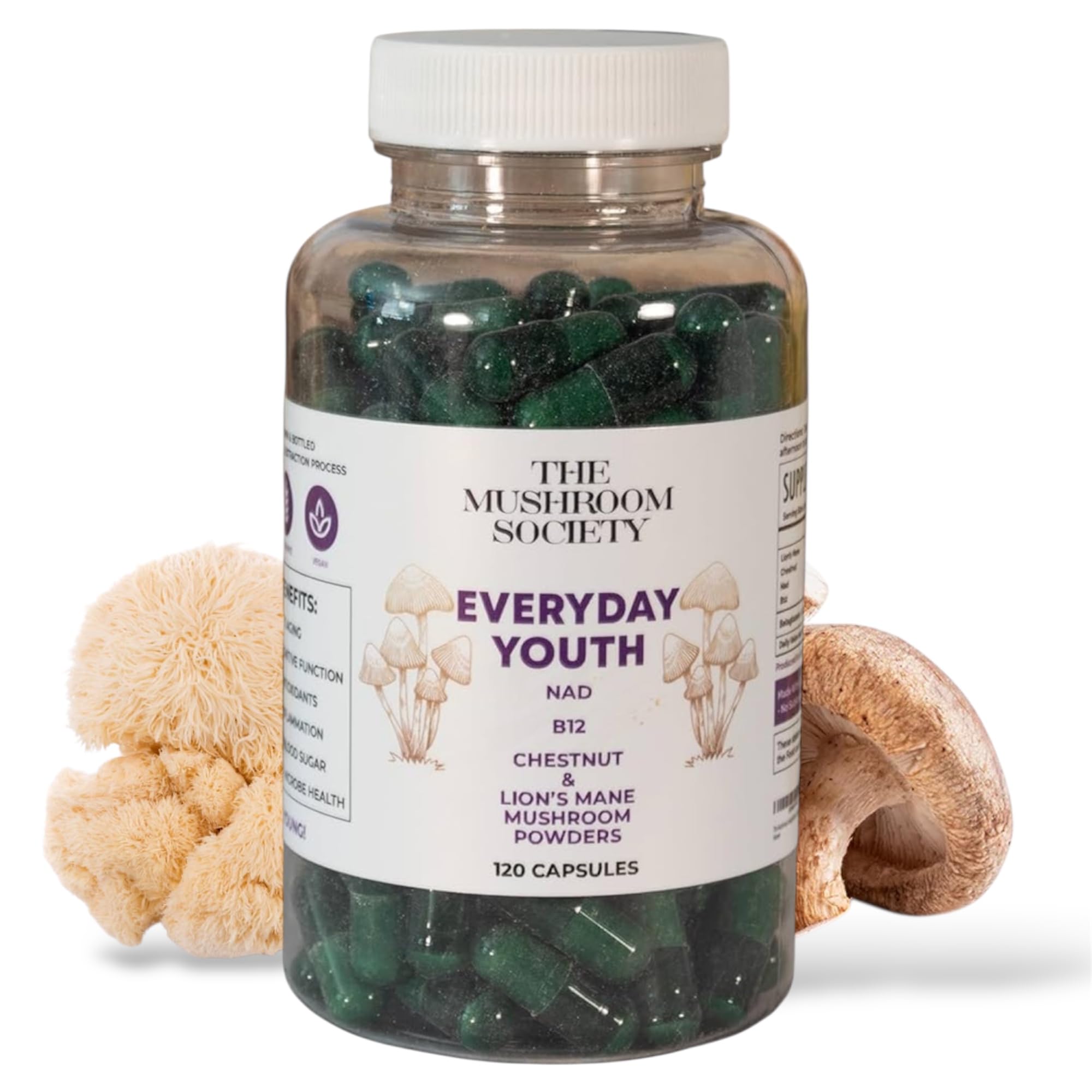 The Mushroom Society Everyday Youth bottle-front promoting daily brain focus.