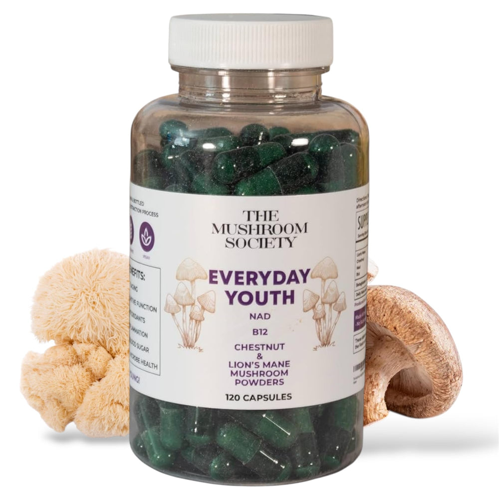 The Mushroom Society Everyday Youth bottle-front promoting daily brain focus.