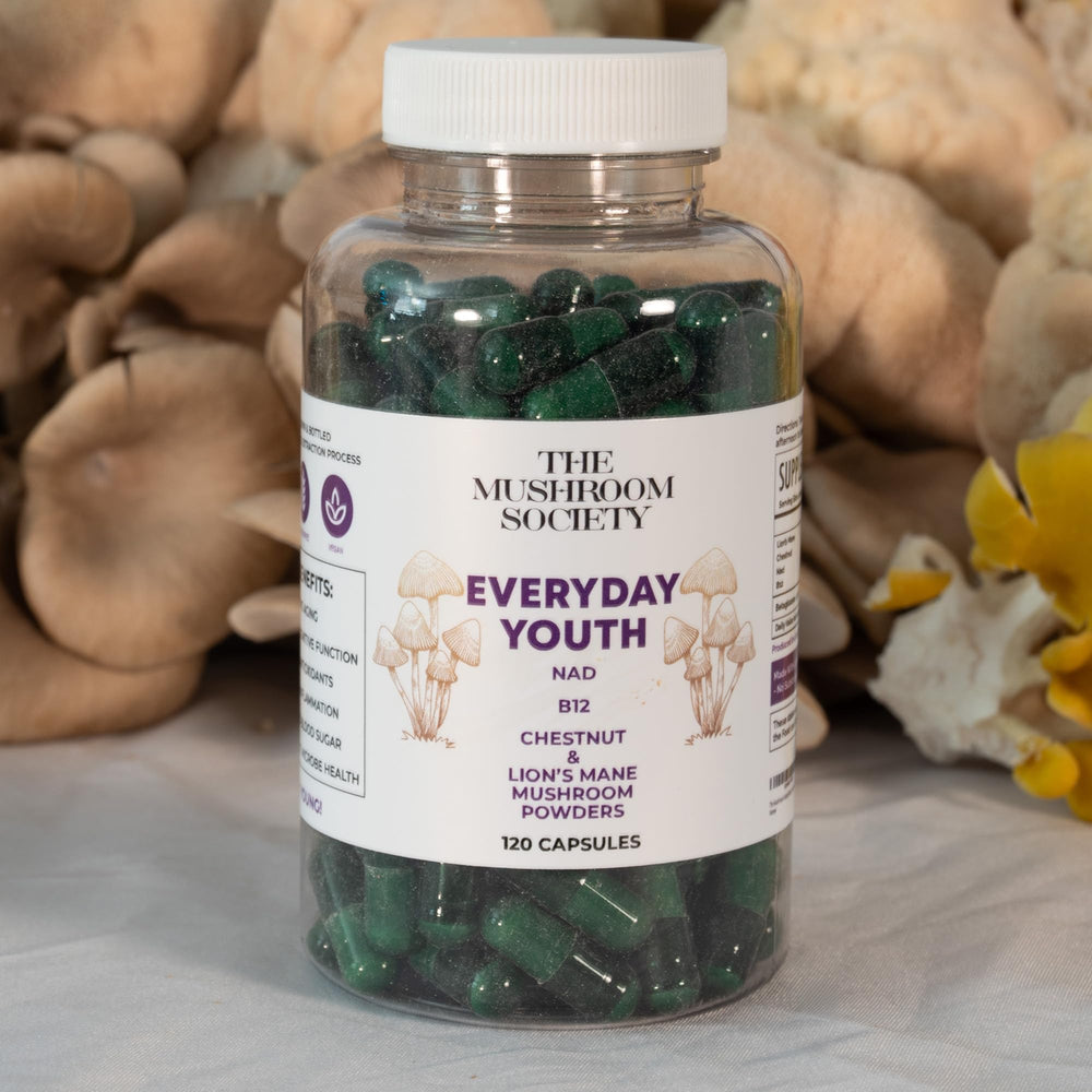 The Mushroom Society Everyday Youth lifestyle shot with glass conveys daily focus and vitality.
