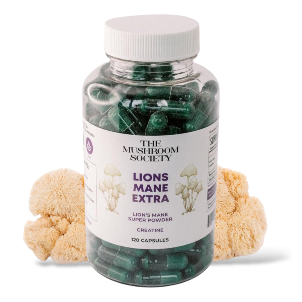 The Mushroom Society Lion’s Mane Extra bottle front view for focused energy.