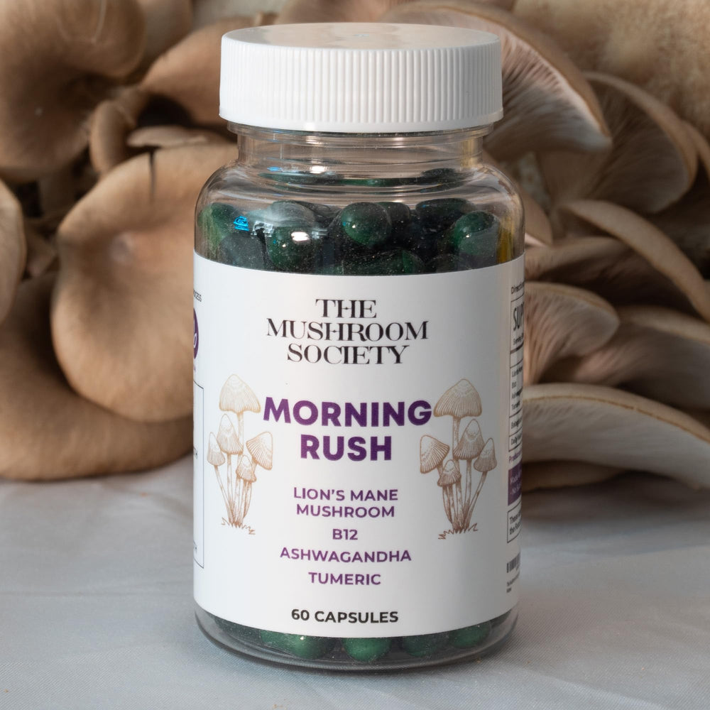 The Mushroom Society Morning Rush in-use scene with a busy professional focusing.
