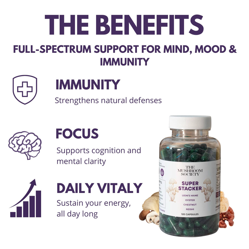 The Mushroom Society Super Stacker Oyster mushroom capsules support daily resilience.