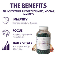 The Mushroom Society Super Stacker Oyster mushroom capsules support daily resilience.