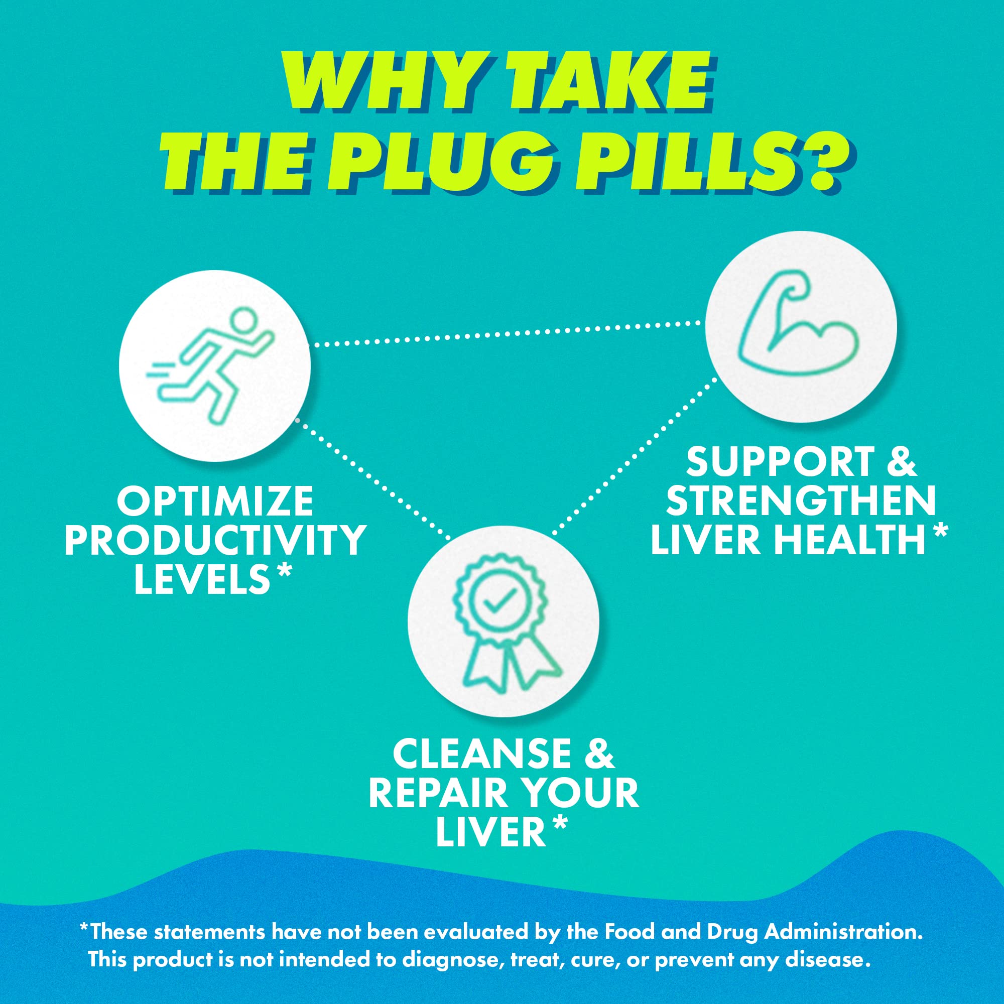 The Plug Liver Cleanse ingredients diagram shows 13 plants and herbs.