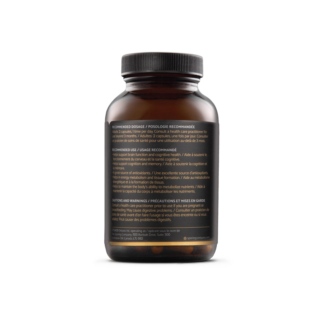 The Sporing Company Mycoveda Cognition capsules in hand for on-the-go focus.