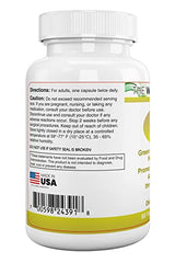 The WHOLE DAY Plan EAT LESS capsules closeup showing plant-based formula for daily energy support