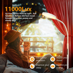 TheDeco lamp’s 360° gooseneck lets you direct light precisely for reading