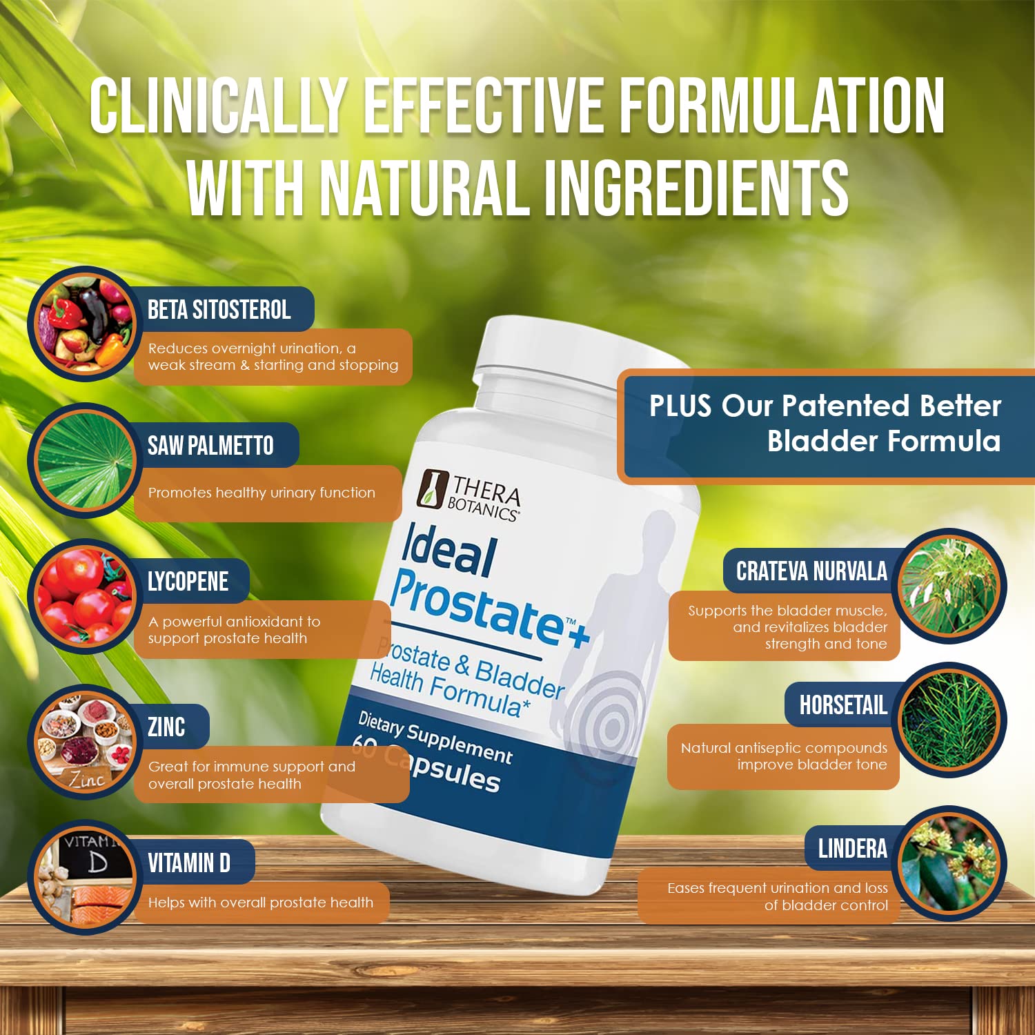 Therabotanics Ideal Prostate Plus dosage guidance for safe daily use
