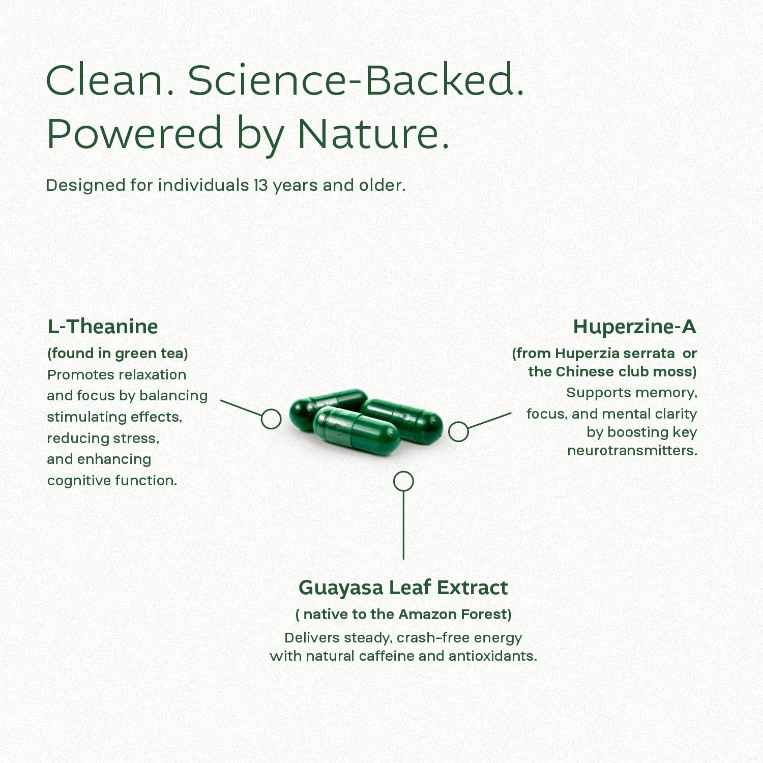 Guayasa leaf extract visual highlight underscoring natural focus support.