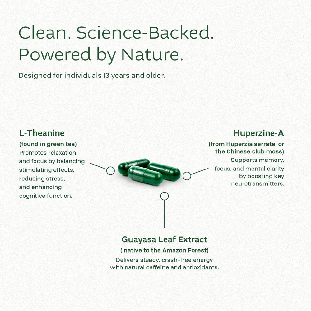 Guayasa leaf extract visual highlight underscoring natural focus support.
