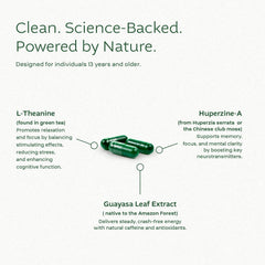 Guayasa leaf extract visual highlight underscoring natural focus support.