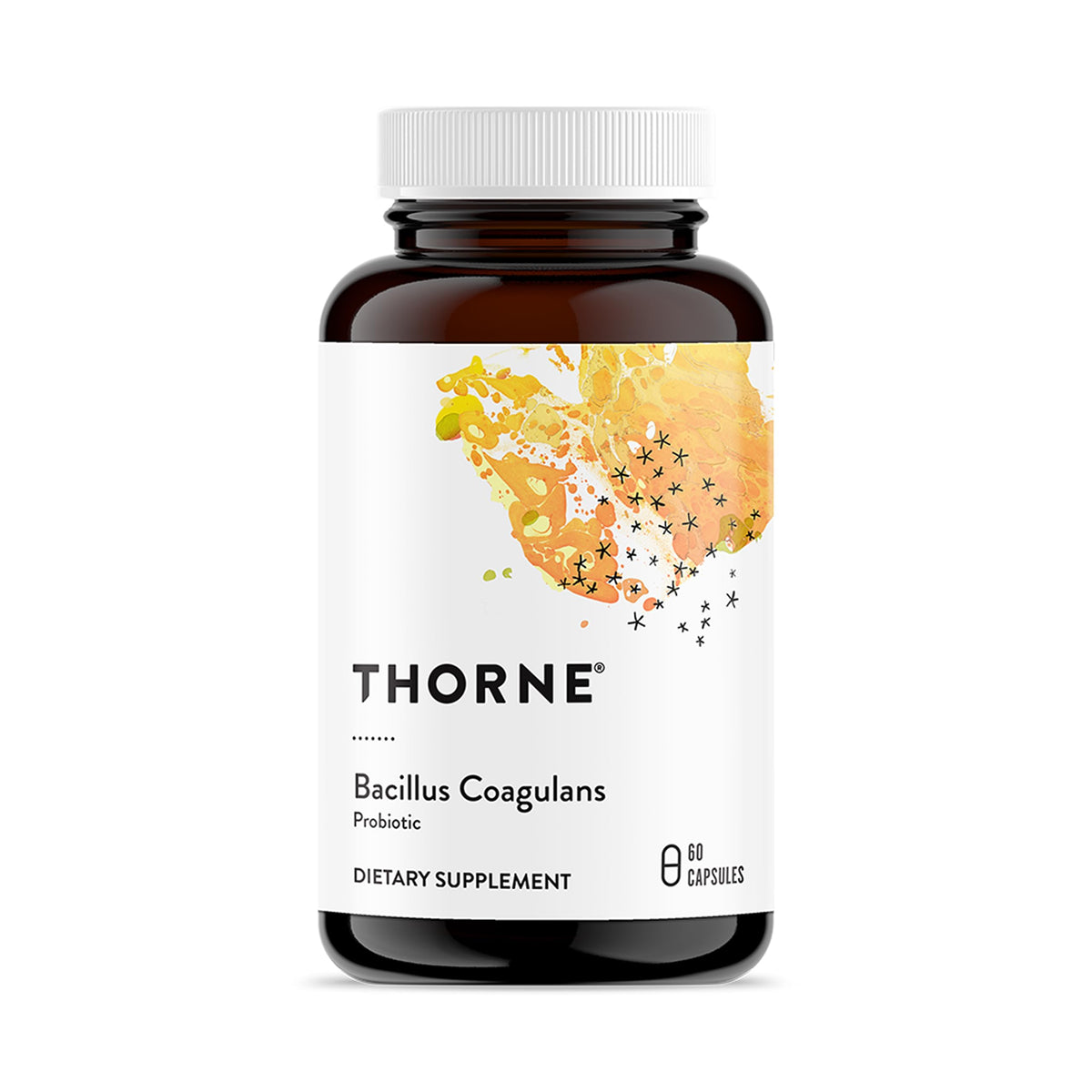 THORNE Bacillus Coagulans probiotic bottle shows shelf-stable design for easy daily use.