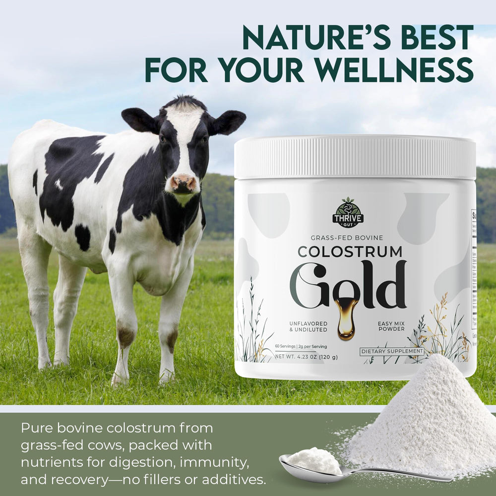 ThriveGut Colostrum Gold smoothie bowl setup hints at a nutritious breakfast