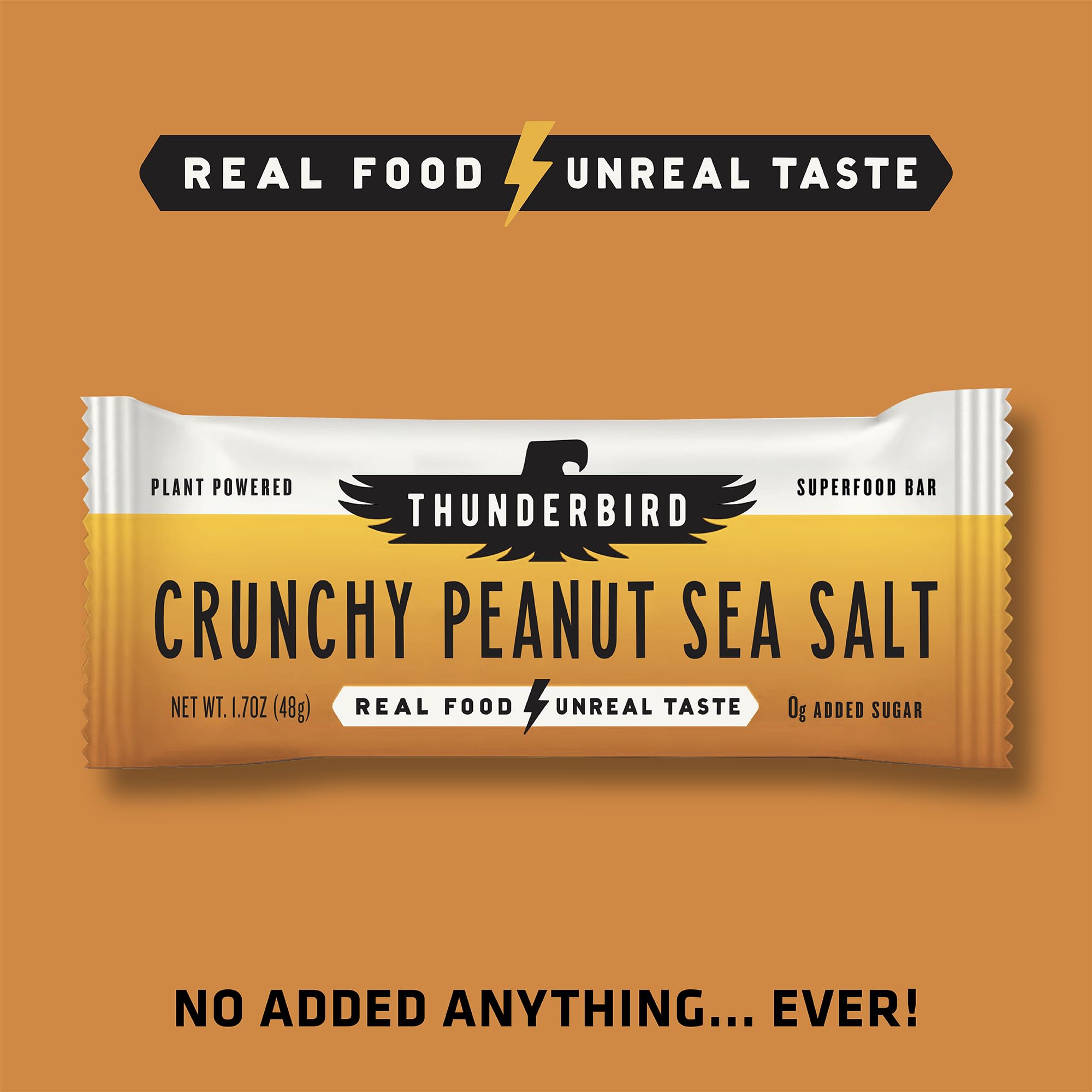 Thunderbird Bars dates, nuts, and chia seeds close-up highlights real ingredients.