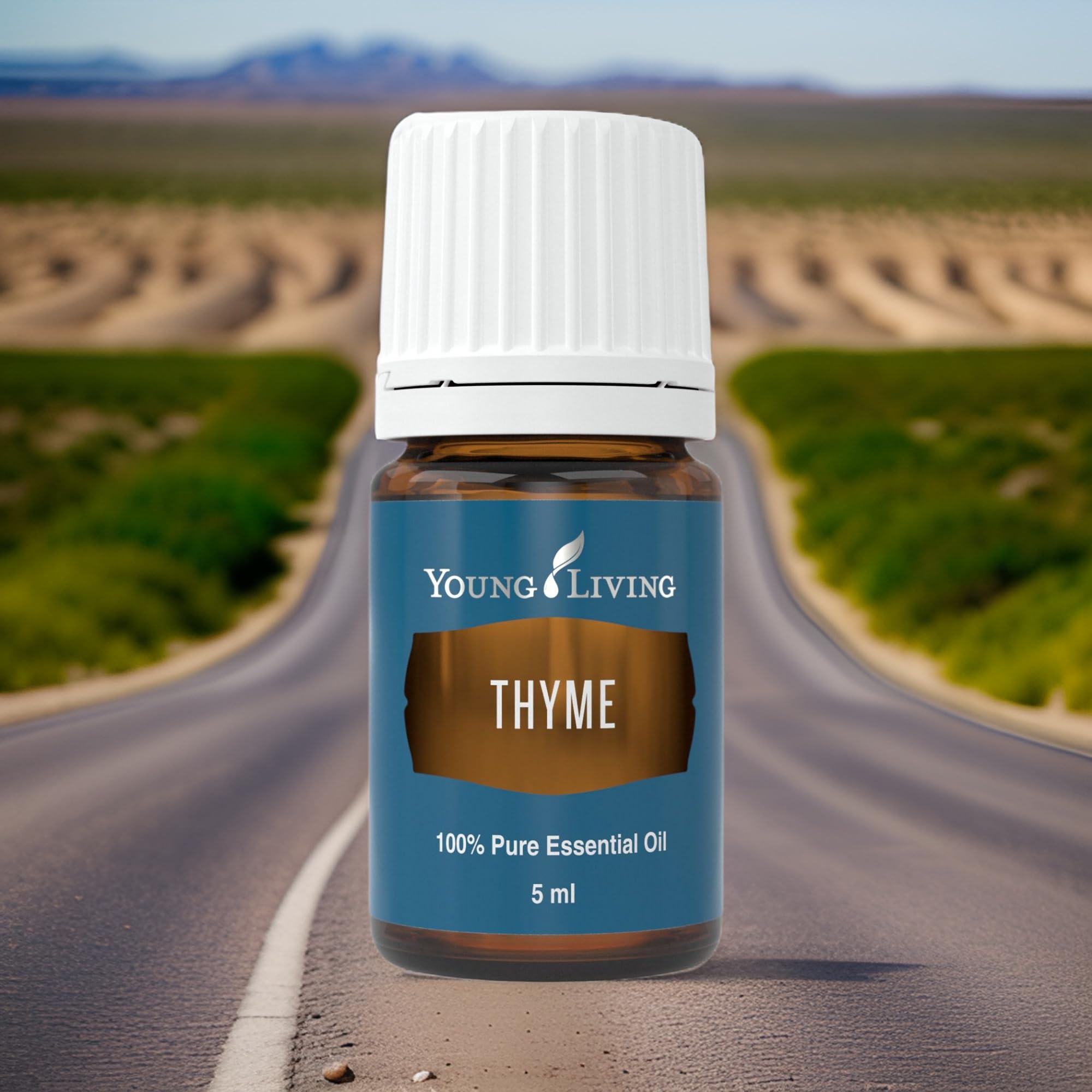 Thyme essential oil ready for cooking use with bold herbal notes