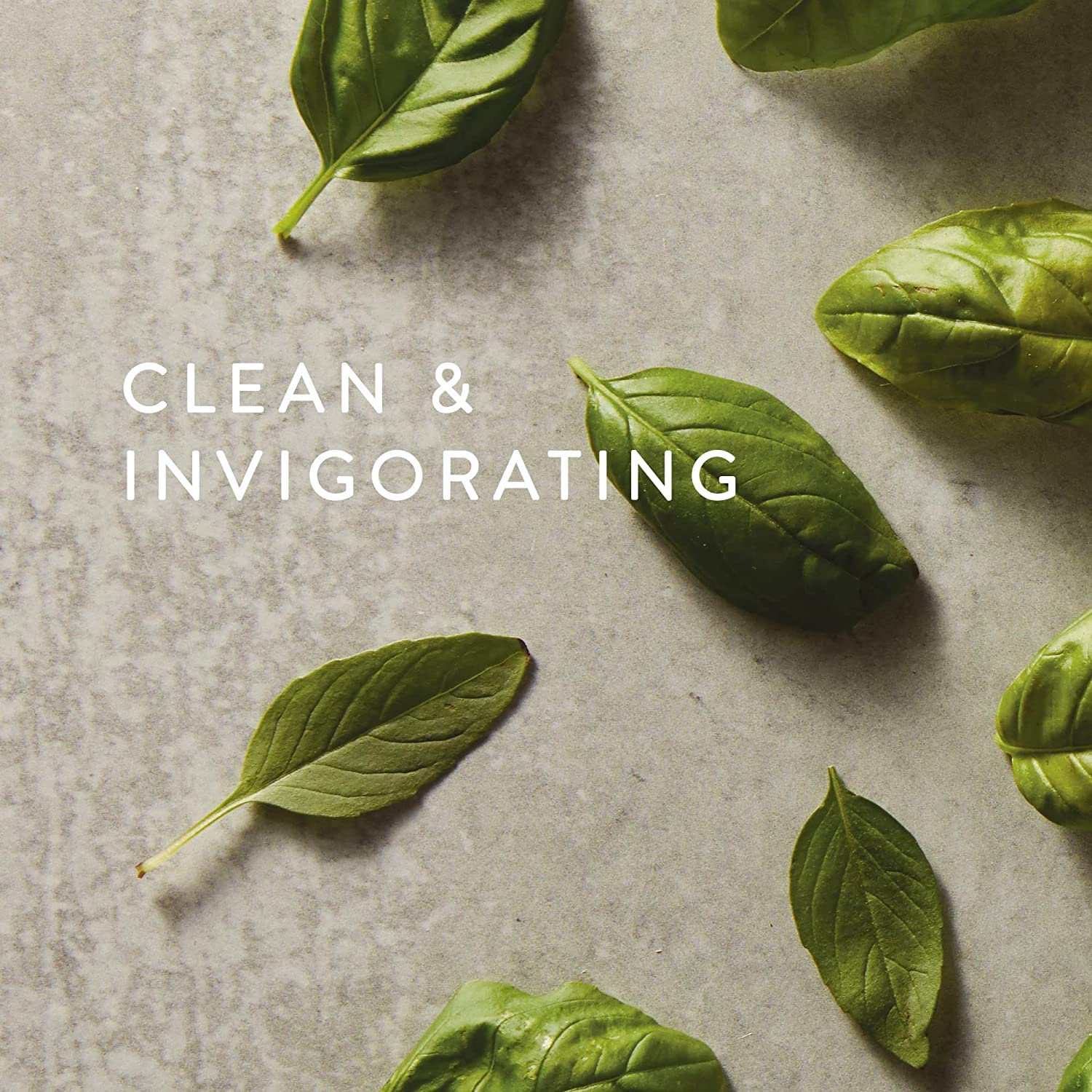 Thymes Fragrance Mist in-use image suggests quick mood lift and cleaner-smelling spaces.