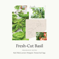 Thymes Fragrance Mist Fresh-Cut Basil label art emphasizes botanical-inspired design and premium feel.