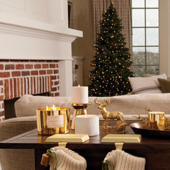 Thymes Frasier Fir candle with a 24k gold rim adds luxurious decor appeal.