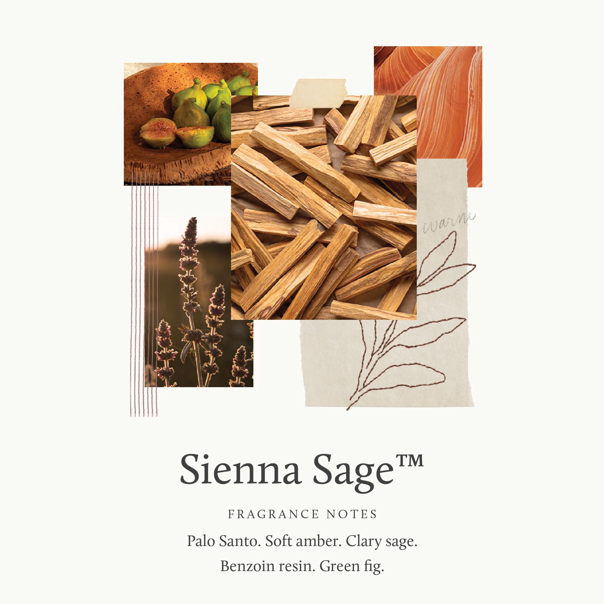 Thymes Sienna Sage amber-wood notes evoke cozy ambiance.
