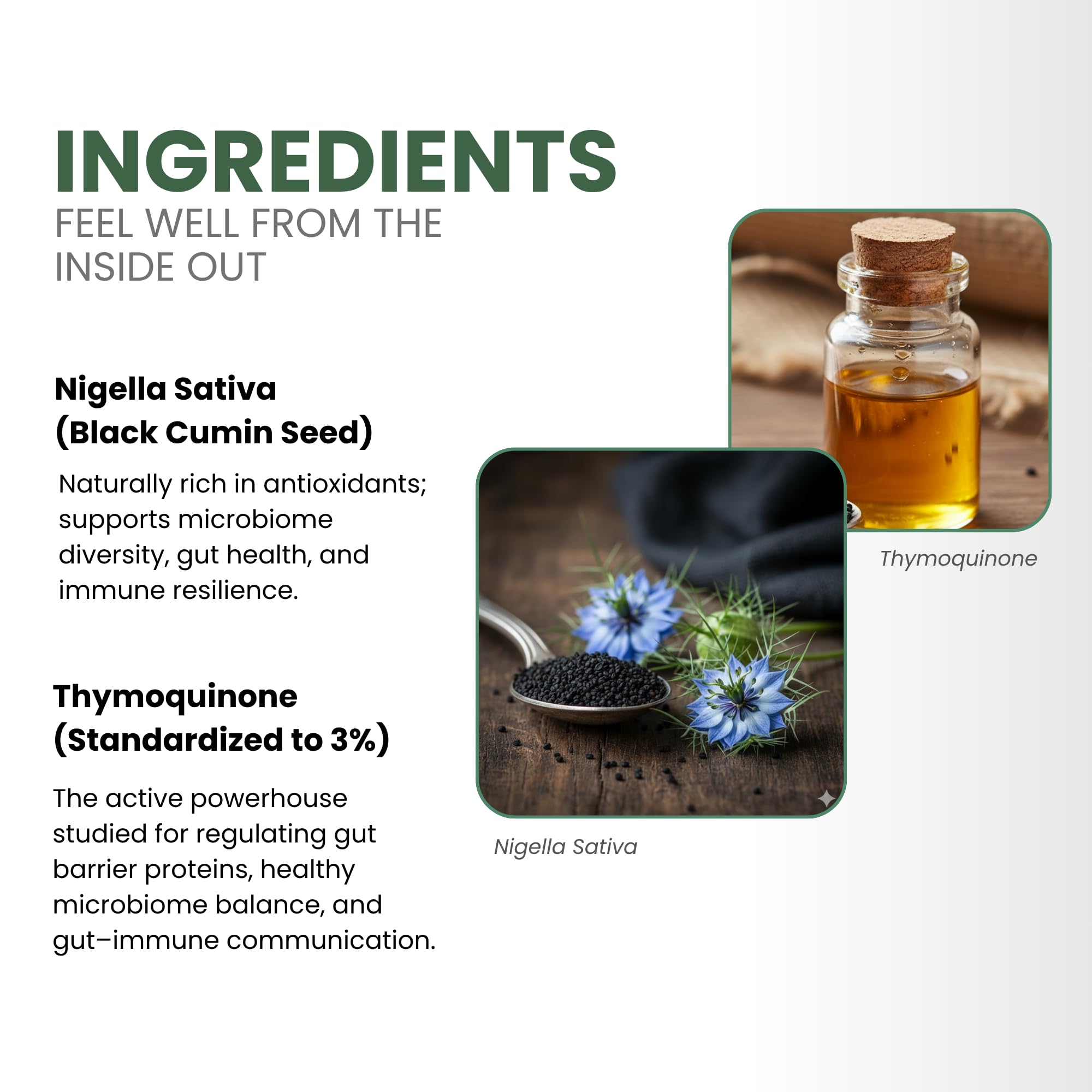 ThymoQuin for women and men supports digestive wellness daily.